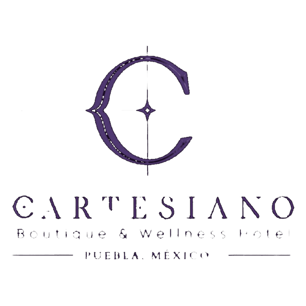 Logo de Cartesiano